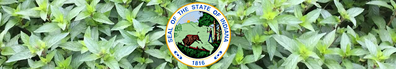 Indiana Logo