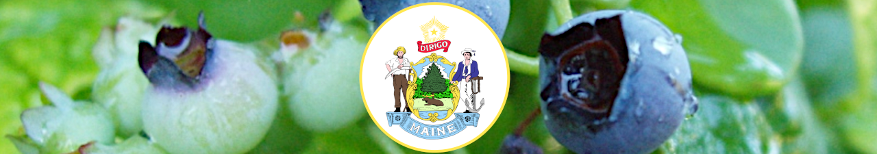 Maine Logo
