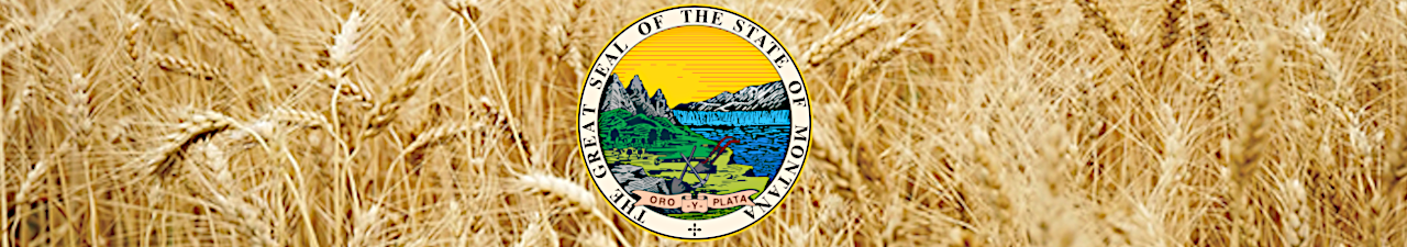 Montana Logo